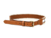 Tolredo Leather Womens fashionable Pin Buckle Belts – Chestnut (WBLT- 539)